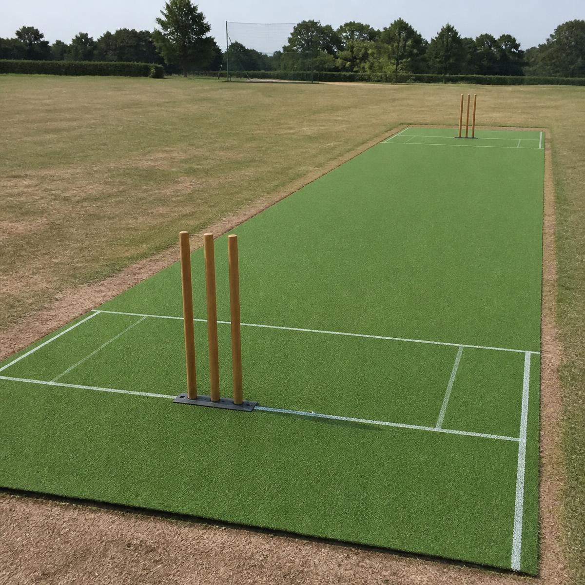 Portable Cricket Pitch Mat